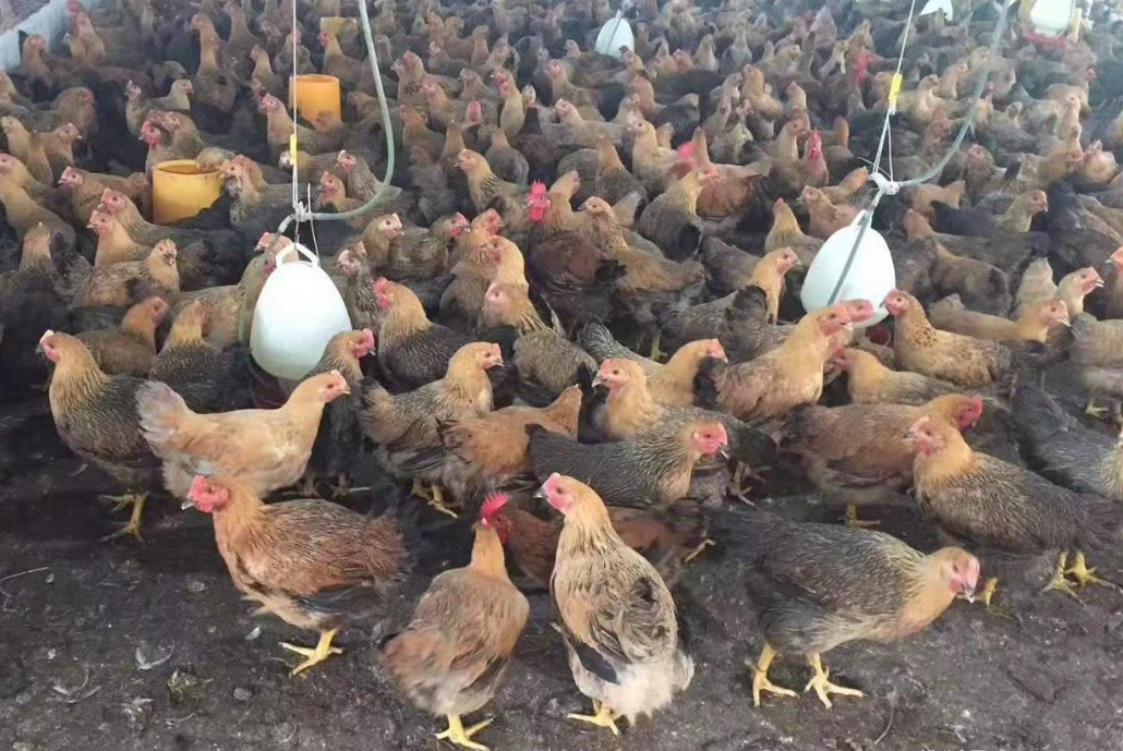 QQ圖片20251205112648.png QQ圖片20251205112648.png