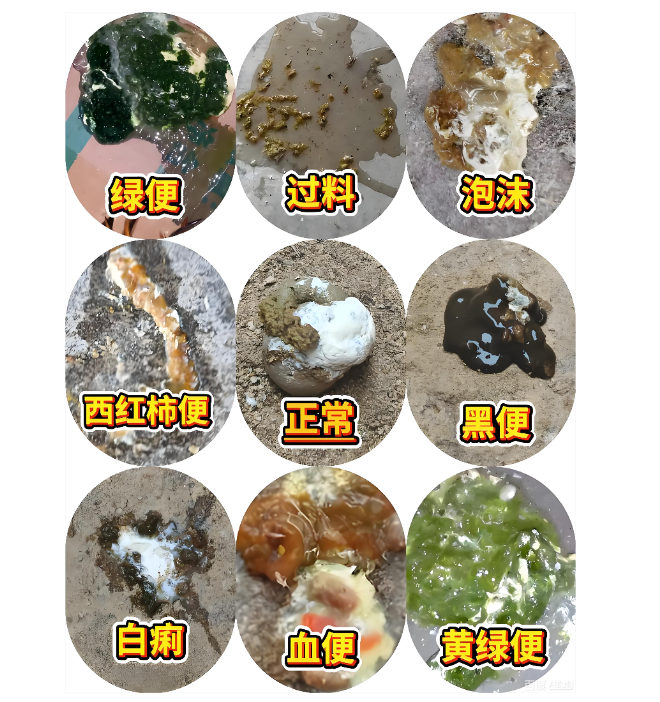 截圖20251217095640.png 截圖20251217095640.png