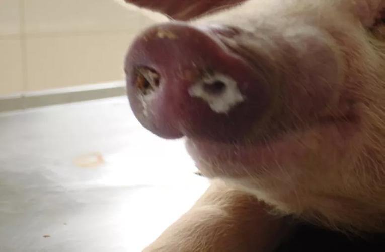 微信圖片_20251218093753.jpg 微信圖片_20251218093753.jpg