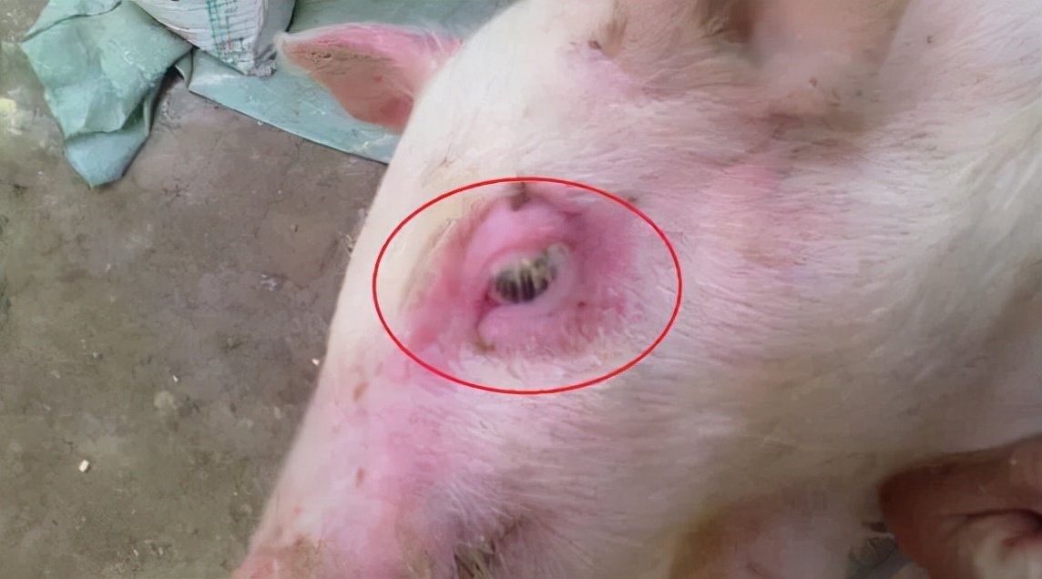 微信圖片_20251222092353.jpg 微信圖片_20251222092353.jpg