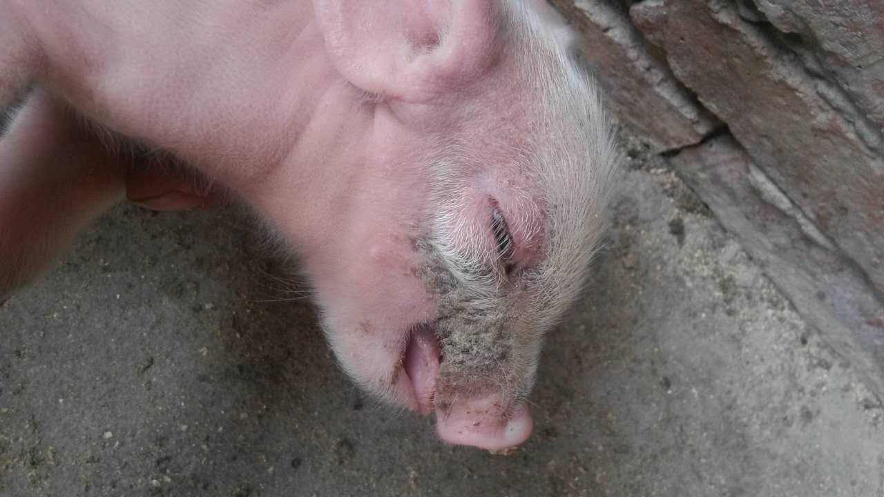 微信圖片_20251222092325.jpg 微信圖片_20251222092325.jpg