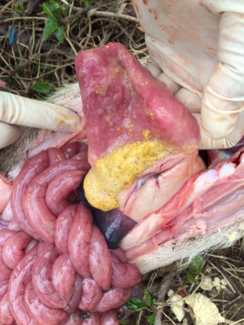 微信截圖_20251222092343.jpg 微信截圖_20251222092343.jpg