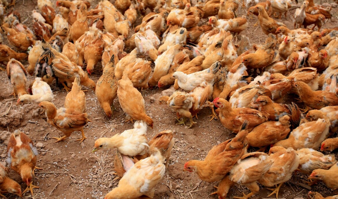 QQ圖片20251222122011.png QQ圖片20251222122011.png