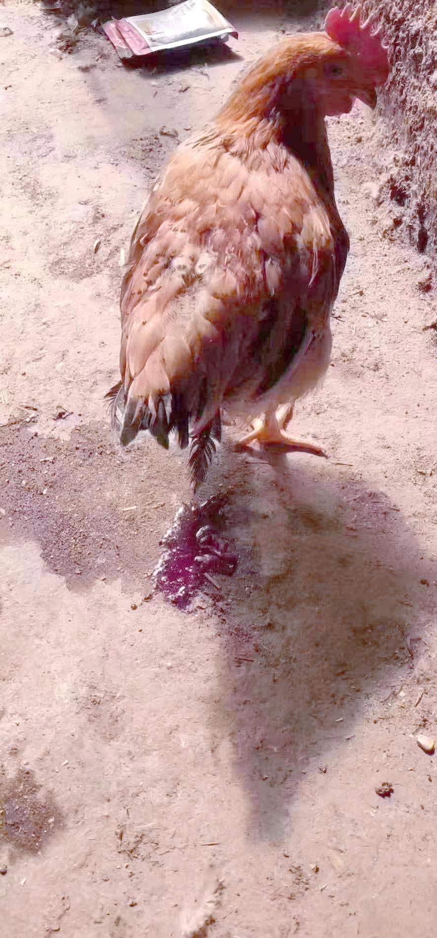 微信圖片_20251226093037.jpg 微信圖片_20251226093037.jpg