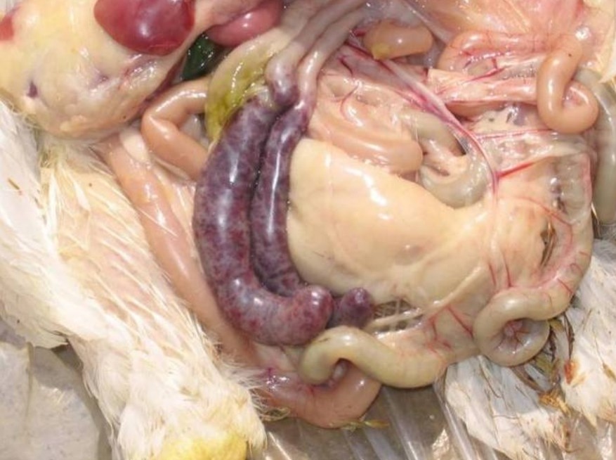 微信截圖_20251226093026.jpg 微信截圖_20251226093026.jpg