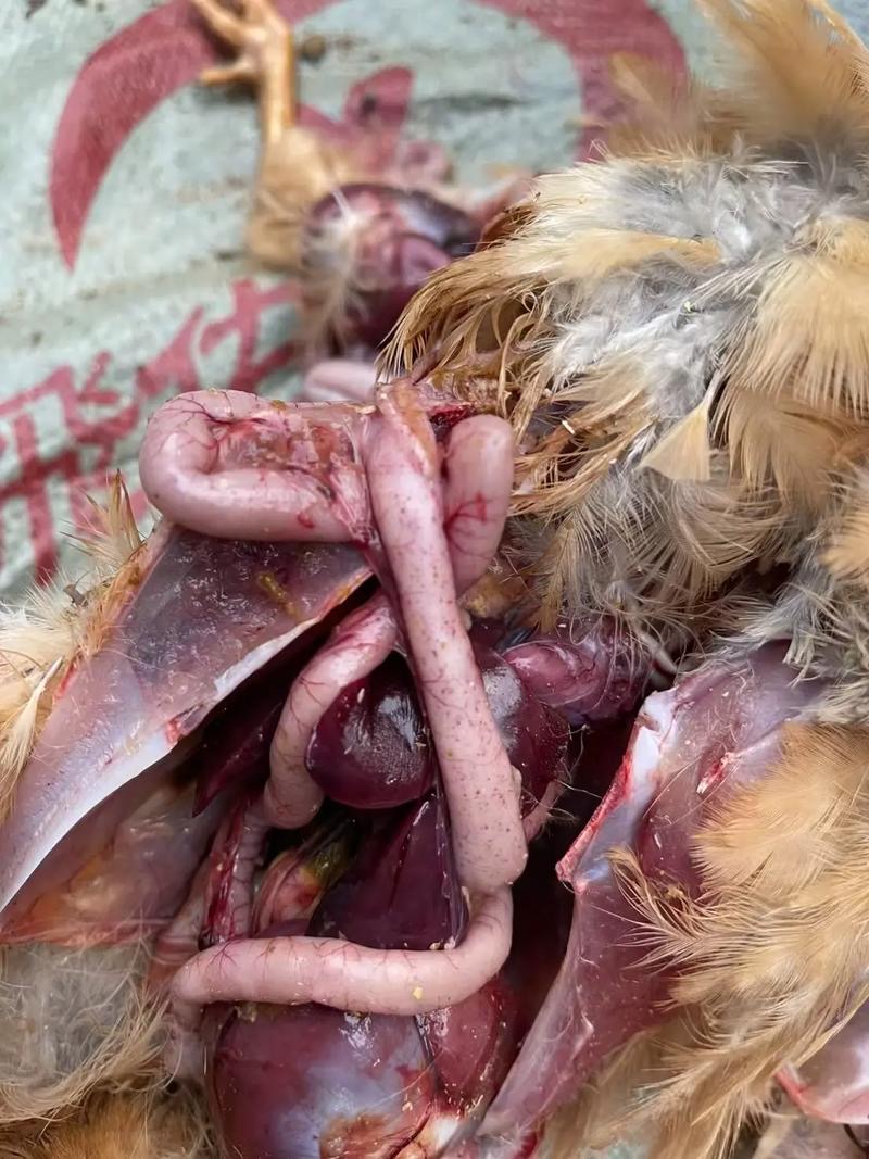 微信圖片_20251226093031.jpg 微信圖片_20251226093031.jpg