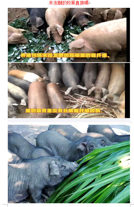 08372ad0c8e130d1194fbe58d0c9cf36.png 08372ad0c8e130d1194fbe58d0c9cf36.png