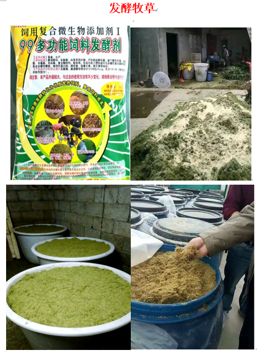 717b1115add679d20490be57e992b40c.png 717b1115add679d20490be57e992b40c.png