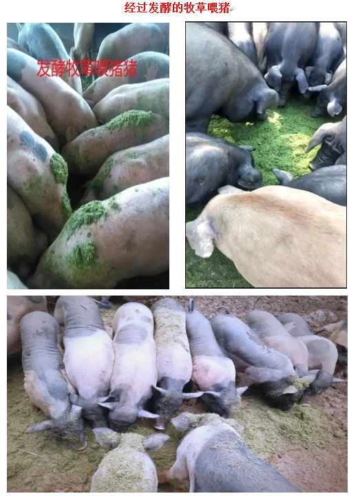 fa09c58e8f3aea4d7739b960e88329c1.png fa09c58e8f3aea4d7739b960e88329c1.png