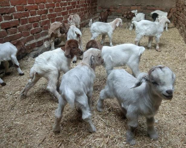 QQ圖片20260107102142.png QQ圖片20260107102142.png