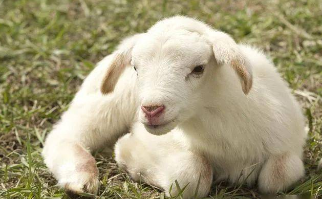 QQ圖片20260107101929.png QQ圖片20260107101929.png