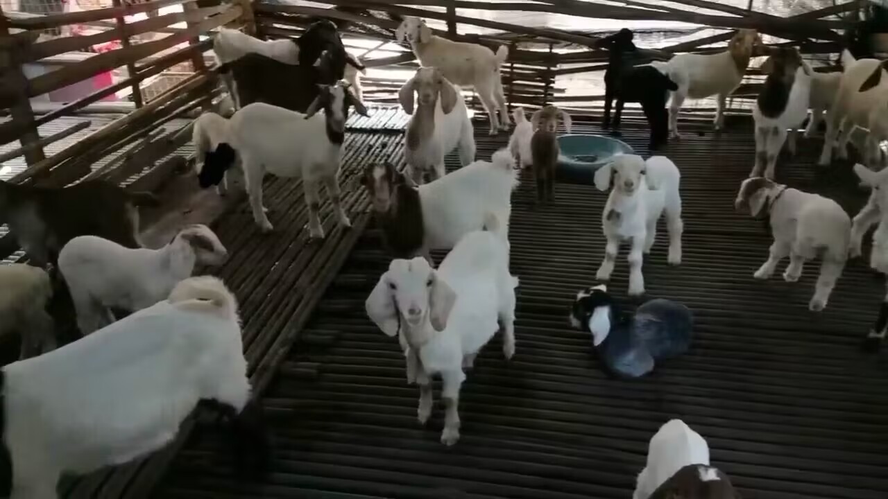 QQ圖片20230318141322.jpg QQ圖片20230318141322.jpg