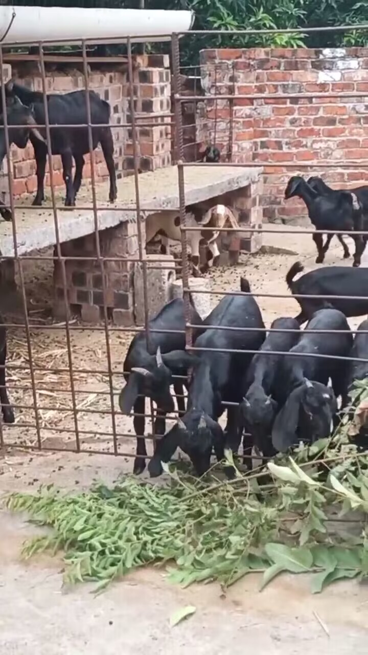 QQ圖片20230318141332.jpg QQ圖片20230318141332.jpg