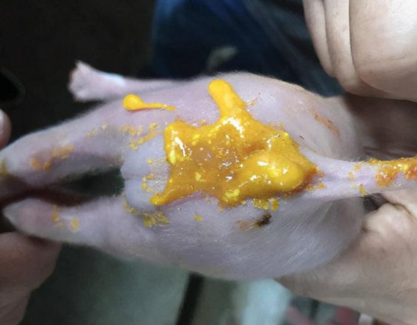 微信截圖_20260108095019.jpg 微信截圖_20260108095019.jpg