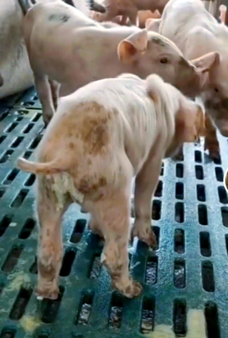 微信截圖_20260108095005.jpg 微信截圖_20260108095005.jpg