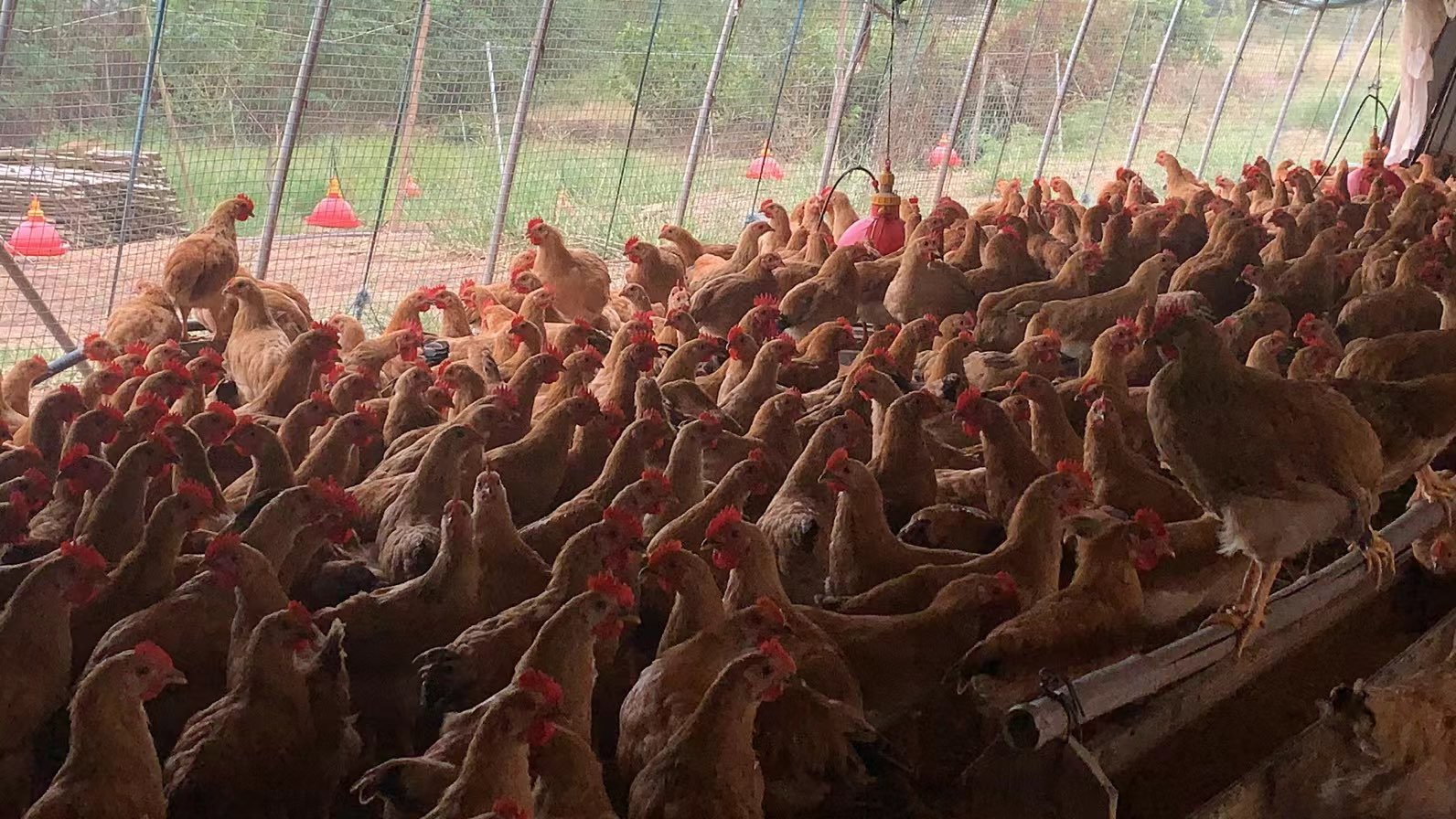 QQ圖片20250923142959.jpg QQ圖片20250923142959.jpg