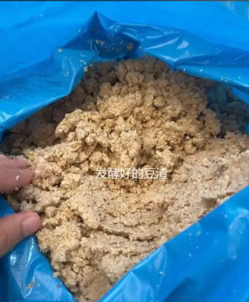 53743d4b-53ed-4866-93c0-8eae24e91944.png 53743d4b-53ed-4866-93c0-8eae24e91944.png