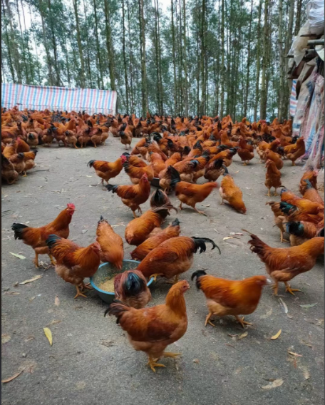 fe773634-b823-44ba-998e-eaf88859d7bc.png fe773634-b823-44ba-998e-eaf88859d7bc.png