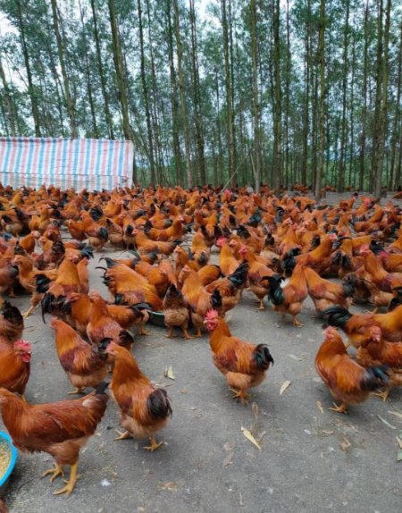 9db7a033-7a8f-45ef-bf9c-51507415af96.png 9db7a033-7a8f-45ef-bf9c-51507415af96.png