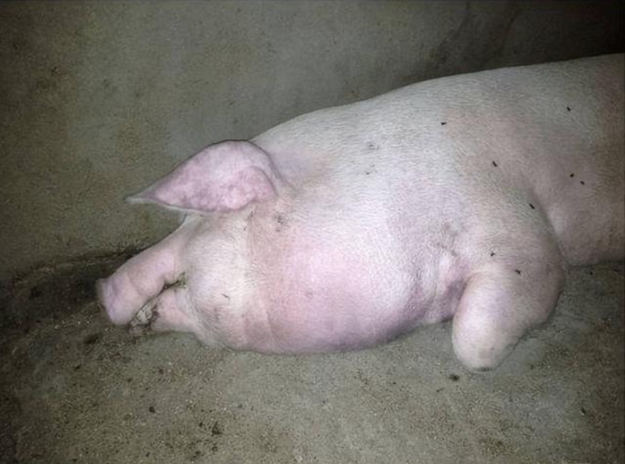 微信截圖_20260120091915.jpg 微信截圖_20260120091915.jpg