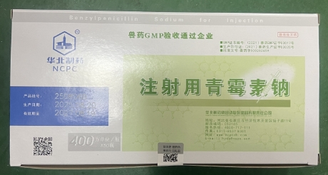 微信截圖_20260120091852.jpg 微信截圖_20260120091852.jpg