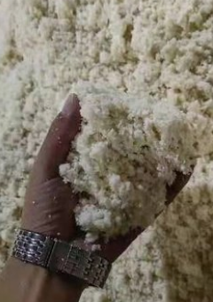 截圖20260122092316.png 截圖20260122092316.png