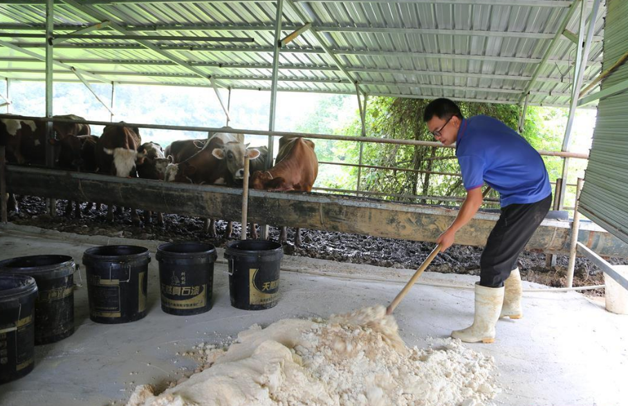 截圖20260122092842.png 截圖20260122092842.png