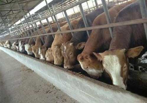 截圖20260122093248.png 截圖20260122093248.png