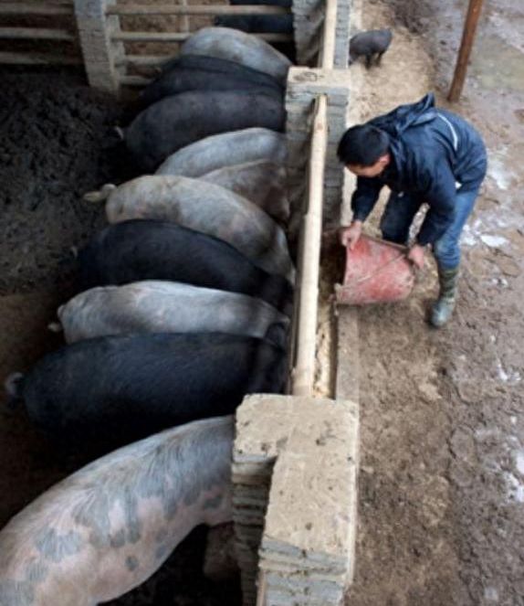 164b0f8dd63d7855e6ade305828f56e0.jpg 164b0f8dd63d7855e6ade305828f56e0.jpg