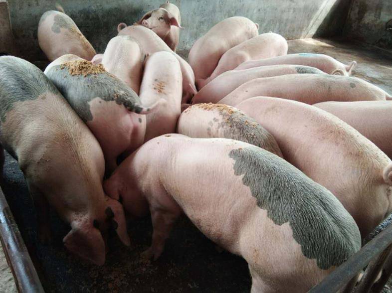 0a1cc2f42bf44da9941069c29ea8624d.jpeg 0a1cc2f42bf44da9941069c29ea8624d.jpeg