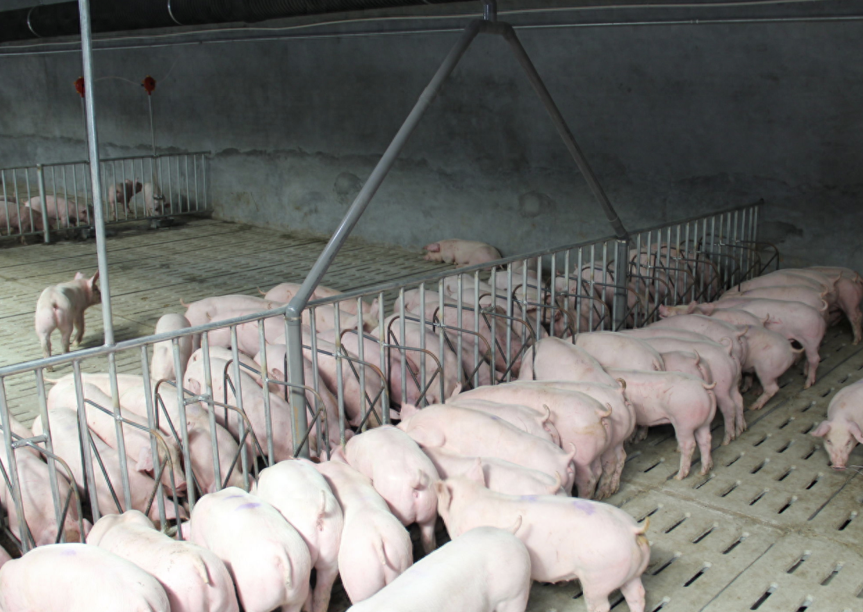 37e884f30afebe8226591dfca2ef4f23_720.png 37e884f30afebe8226591dfca2ef4f23_720.png