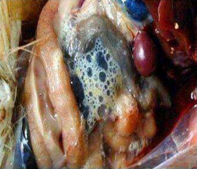 微信截圖_20260210094841.jpg 微信截圖_20260210094841.jpg