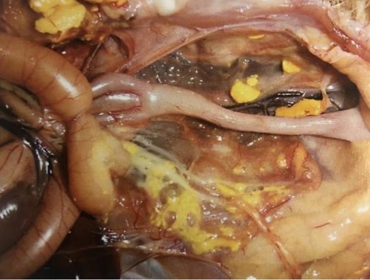 微信截圖_20260210094828.jpg 微信截圖_20260210094828.jpg