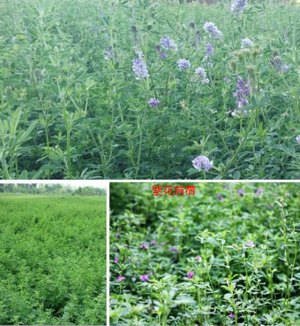 截圖20260210101446.png 截圖20260210101446.png