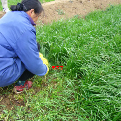 截圖20260210101904.png 截圖20260210101904.png