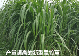 截圖20260210102212.png 截圖20260210102212.png