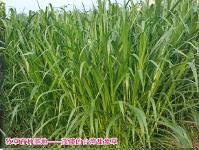 截圖20260210102222.png 截圖20260210102222.png