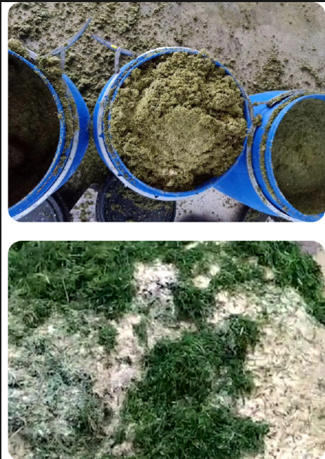 截圖20260210102842.png 截圖20260210102842.png