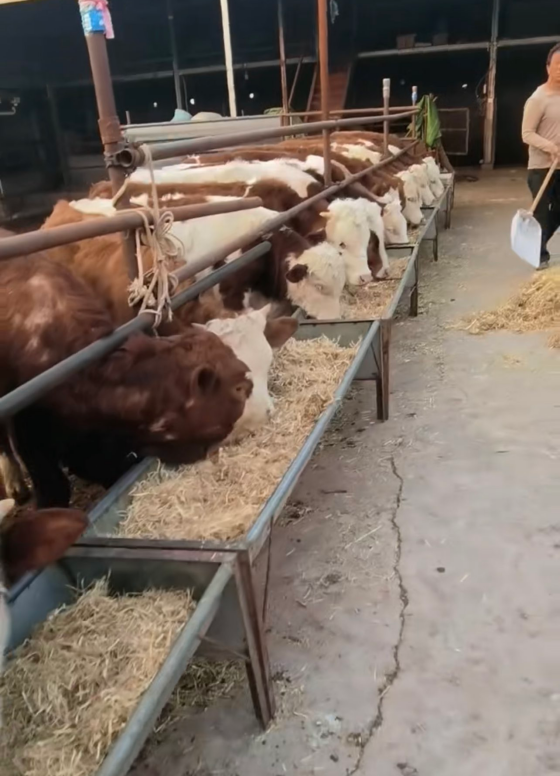 95019A46527EB18E3E142CA83FDF188E.png 95019A46527EB18E3E142CA83FDF188E.png