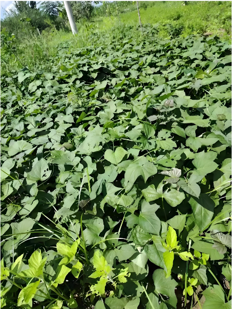 08db7248-e109-43e0-9d71-e788e16af4e3.png 08db7248-e109-43e0-9d71-e788e16af4e3.png