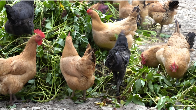 1662b23d-ef85-4fde-9d47-058516fb2880.png 1662b23d-ef85-4fde-9d47-058516fb2880.png