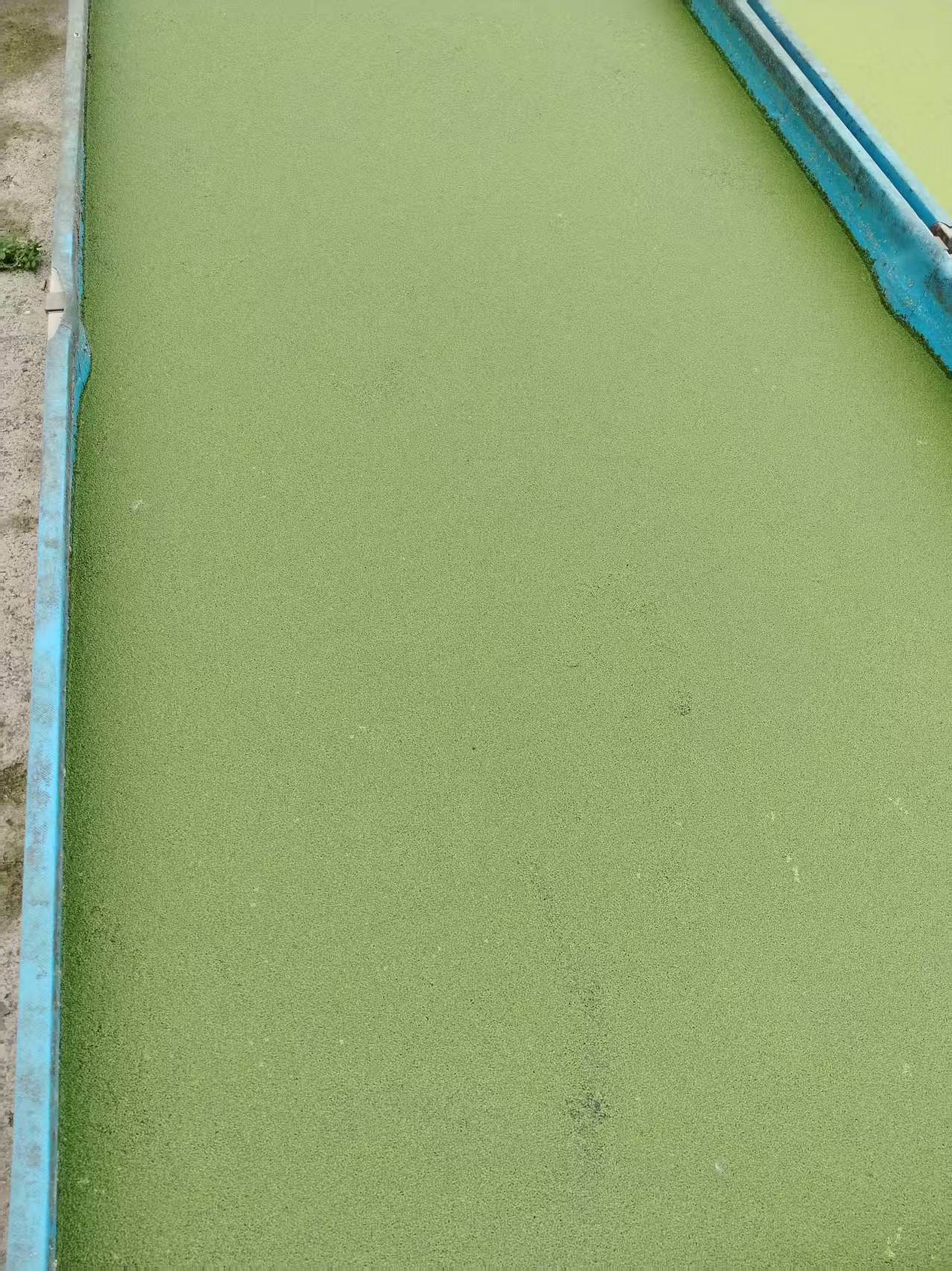 cb0c1266af6bf34b05c1e7bea2b7f290.jpg cb0c1266af6bf34b05c1e7bea2b7f290.jpg