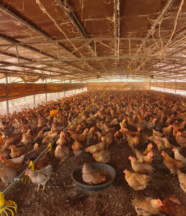 QQ圖片20250423134755.png QQ圖片20250423134755.png