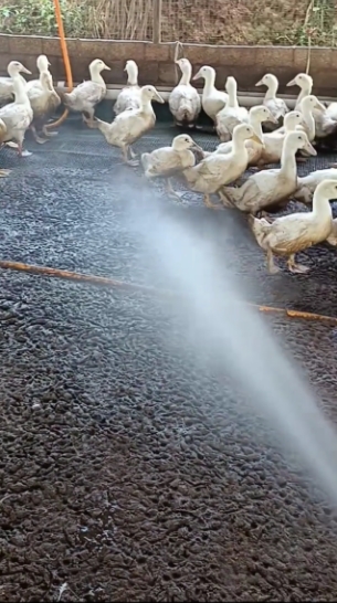 微信截圖_20260317113002.jpg 微信截圖_20260317113002.jpg