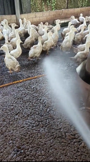 微信截圖_20260317113012.jpg 微信截圖_20260317113012.jpg