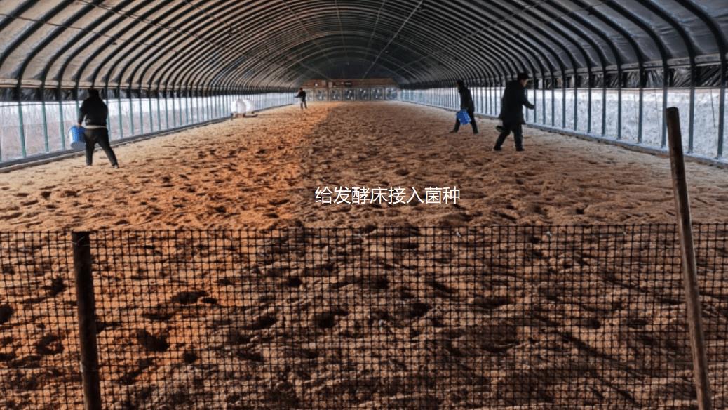 微信圖片_20260317113030.jpg 微信圖片_20260317113030.jpg