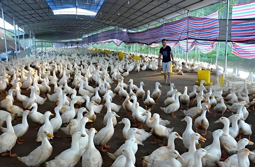 微信圖片_20260317113059.jpg 微信圖片_20260317113059.jpg