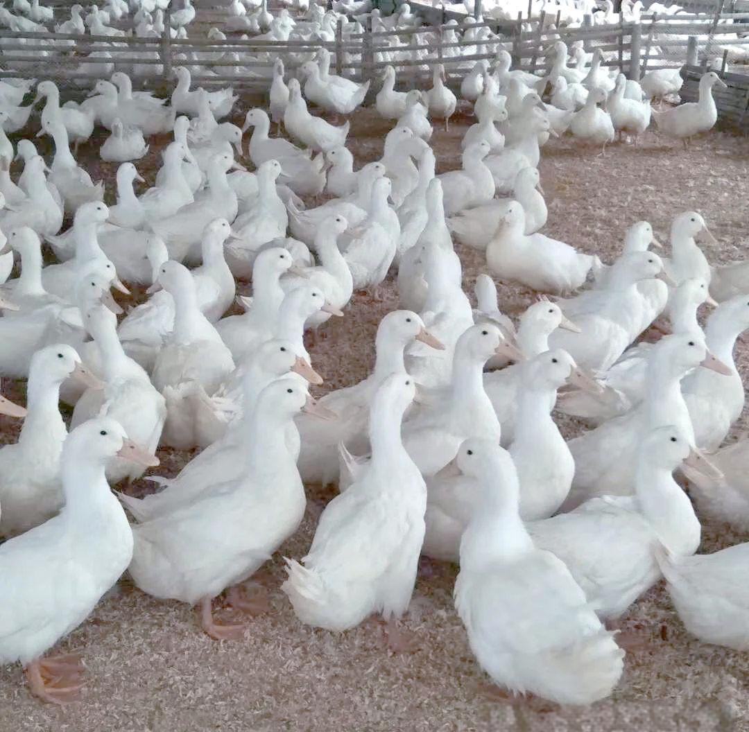 微信圖片_20260317113106.jpg 微信圖片_20260317113106.jpg