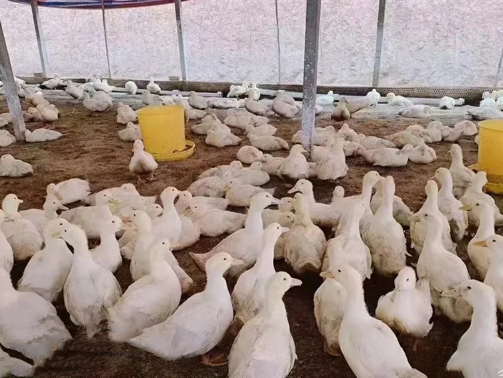 微信圖片_20260317113039.jpg 微信圖片_20260317113039.jpg