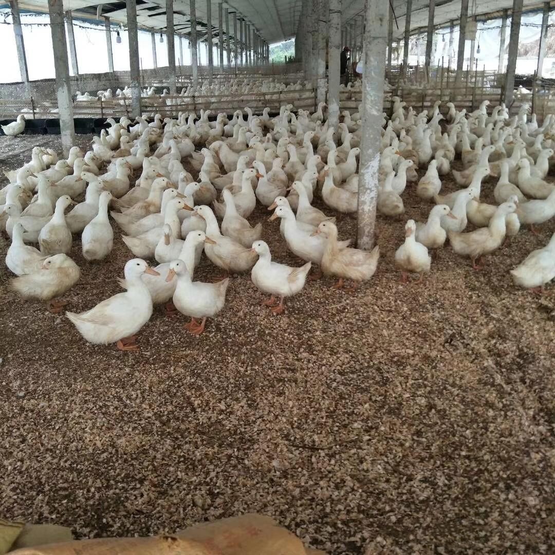 微信圖片_20260317113036.jpg 微信圖片_20260317113036.jpg